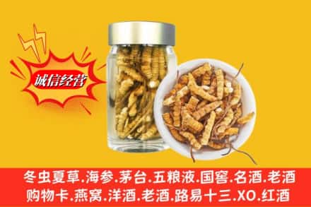 和平区名酒回收散虫草.jpg